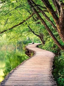 natura